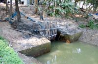 আগৈলঝাড়ায় সরকারি ¯জলকপাট বন্ধ করে দিয়ে নেতাদের মাছ চাষ, বোরো চাষ ব্যাহত