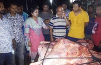 গৌরনদীতে অসুস্থ্য গরু জবাই করে বিক্রি করার অপরাধে ভ্রাম্যমান আদালতে জরিমানা