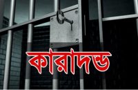 উজিরপুরে অস্ত্র মামলায় যুবকের ১৭ বছর কারাদন্ড