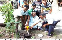 গৌরনদীতে বজ্রপাত রোধে তালবীজ   রোপন কর্মসূচির উদ্বোধন