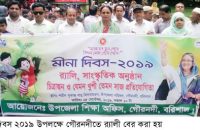 মিনা দিবস উপলক্ষে গৌরনদীতে  র‌্যালী ও আলোচনা সভা