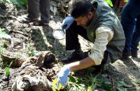উজিরপুরে নিখোঁজের এক বছর পর  যুবকের কঙ্কাল উদ্ধার