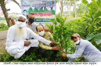 সৈয়দ মতলুবর রহমান ফাউন্ডেশনের উদ্যোগে বৃক্ষরোপন ও চারা বিতরন