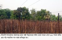 গৌরনদীতে অগ্নিকান্ডে পান বরজ ভস্মিভূত