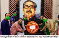 আগৈলঝাড়ায় মহান স্বাধীনতার সুবর্ণ জয়ন্তী উদযাপন