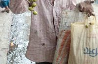 করোনায় কাজ হারিয়ে কলার থোর বিক্রি করে সংসার চালান শহরআলী