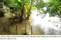 আড়িয়ালখাঁ নদীর অব্যহত ভাঙ্গনে ভিটেমাটি হারা হওয়ার ঝুঁকিতে দুশ পরিবার