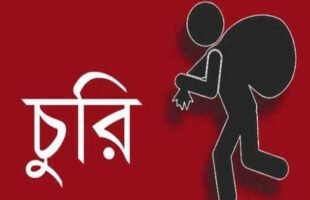 গৌরনদীতে তালা ভেঙ্গে দুই দোকান চুরি