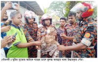 সুতোয় জড়ানো পেঁচা ঝুলছিলো গাছে \ উদ্ধার করলো ফায়ার সার্ভিস