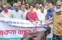 গৌরনদীতে ৬৫জন মৎস্যজীবিদের মাঝে গরুর বাছুর বিতরন
