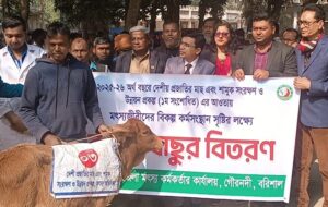 গৌরনদীতে মৎস্যজীবীদের মাঝে বকনা বাছুর বিতরণ  ‎