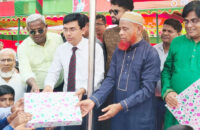 গৌরনদীতে স্বাধীনতা ও জাতীয় দিবস উদযাপিত