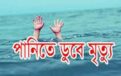 গৌরনদীতে ডোবায়  পরে দুই শিশুর মৃত্যু