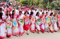 বাংলা নববর্ষ উপলক্ষে গৌরনদীতে  শোভাযাত্রাসহ সাংস্কৃতিক অনুষ্ঠান